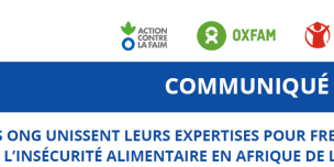 Des ONG unissent leurs expertises pour freiner la croissance de l'insécurité alimentaire en Afrique de l'ouest et au Sahel
