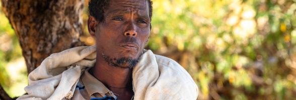 49 year-old Gebrezgabiher Habtu stares at his crops after they all failed due to the ongoing drought in Tigray. CREDIT: Zerubabel Tore/Oxfam
