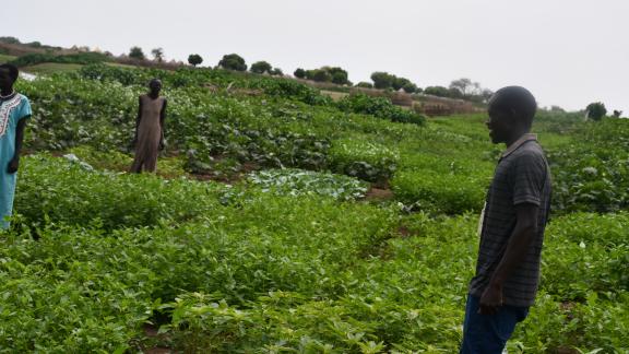 Oxfam staff Edema Denis interacting with the farmers as they harvest their vegtables