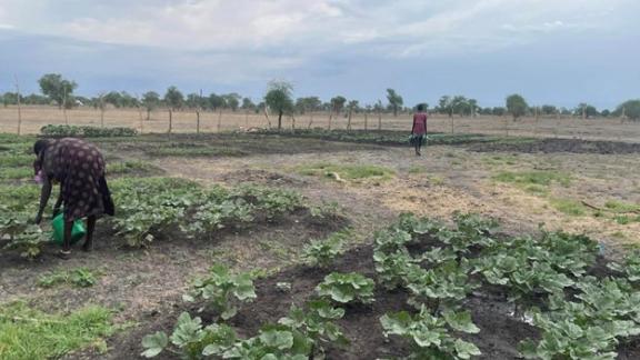 like Nyahial Bith but also contributes to the sustainable growth of the farming community in Lankien Nyirol county.