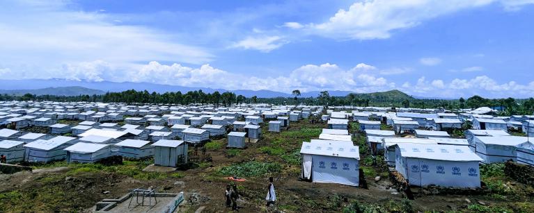 Renewed fighting around the North Kivu capital of Goma, in the Democratic Republic of Congo (DRC)