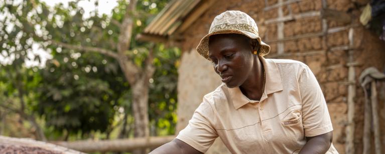 In Ghana,Leticia is drying her beans on traditional drying tables at her farm. Photo Credit: Nana Kofi Acquah/Oxfam