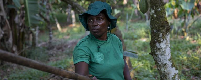 Leticia is working on her farm, practicing sustainable agricultural techniques like agroforestry, organic fertilizer and natural fermentation, and drying of her beans. Credit: Nana Kofi Acquah/Oxfam
