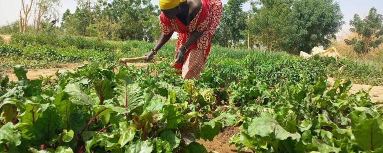 Fatto Ousmane, la championne du jardinage dans le village de Zindiga au Mali. Photo Credit: Djigui Keita/ Oxfam