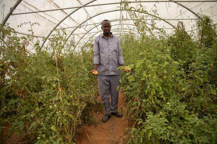 In Faramaraa village, Hirsi Ahmed stands inside the community greenhouse holding freshly harvested onions. Credit: Hassan Siyad/Oxfam