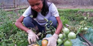 Tracking Climate Finance to Build Resilience