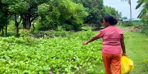 Women’s Experiences of Climate Change Impacts in Timor-Leste Women’s Experiences of Climate Change Impacts in Timor-Leste