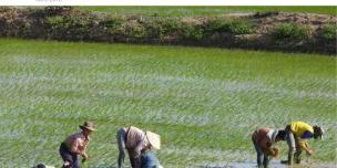 Gender and water governance in the Mekong region