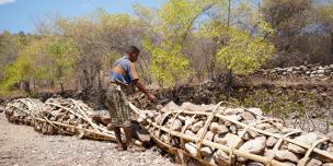 why community led lessons work in timor-leste
