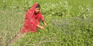 Oxfam in Asia - Pakistan - Hakim Mai, An Inspiring Climate Change Fighter