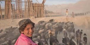 Oxfam in Asia - Publications - Afghanistan - Measuring Household Stress Oxfam in Asia - Publications - Afghanistan - Measuring Household Stress