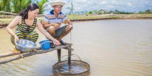 Oxfam in Asia - GRAISEA Programme - Identifying Gender Inequalities and Possibilities for Change in Shrimp Value Chains in Indonesia and Vietnam