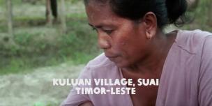 Oxfam in Asia - Stories - Timor Leste - Weathering Climate Change in Timor Leste