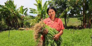 Farmer in Cambodia Farmer in Cambodia, holding greens