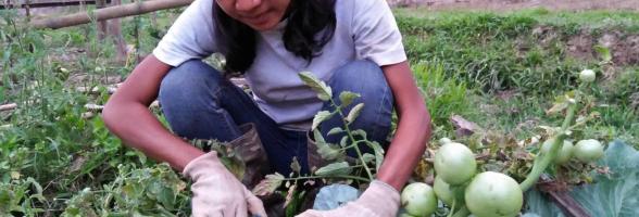 Tracking Climate Finance to Build Resilience