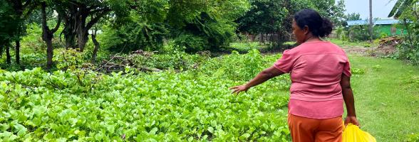 Women’s Experiences of Climate Change Impacts in Timor-Leste