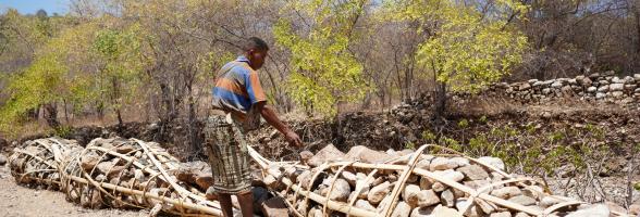 why community led lessons work in timor-leste