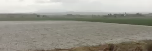 Oxfam Mangkhut Aftermath - Damage to agriculture