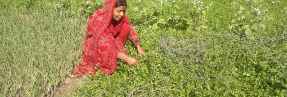 Oxfam in Asia - Pakistan - Hakim Mai, An Inspiring Climate Change Fighter