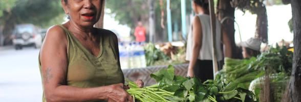 Timo Leste - Women in Agriculture