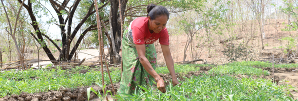 measuring impact timor-leste article