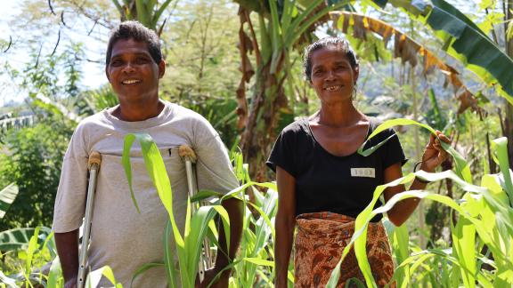 carbon farming - timor leste