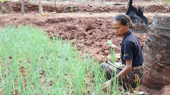 why community led lessons work in timor-leste