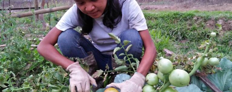 Tracking Climate Finance to Build Resilience