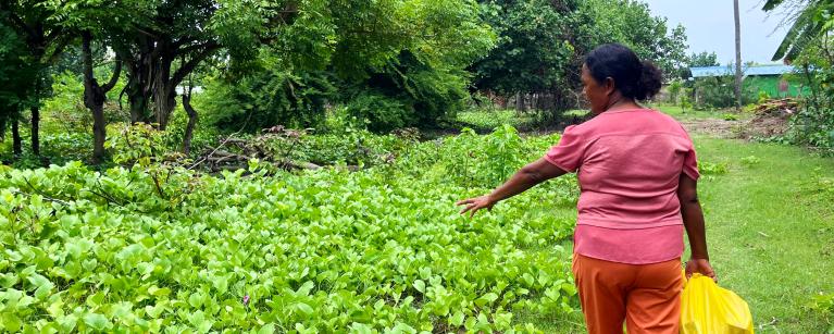 Women’s Experiences of Climate Change Impacts in Timor-Leste