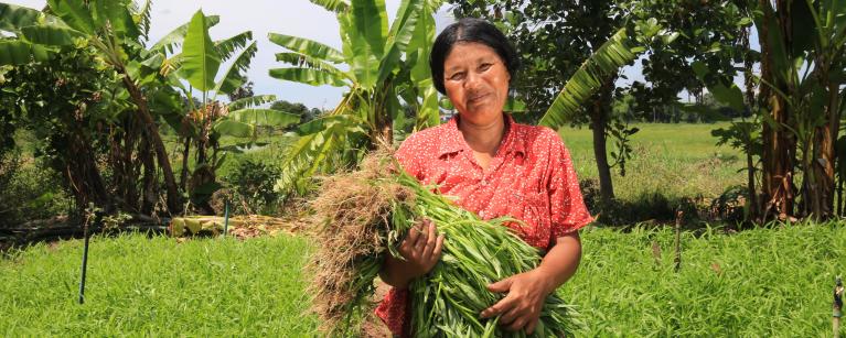 Farmer in Cambodia, holding greens