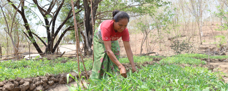 measuring impact timor-leste article