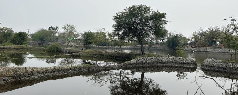 saline ponds