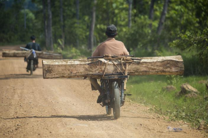 Illegal loggers transport woods from the nearby community forests of Pa Tang to sell to buyers at the Vietnam boarder.  Photo by Savann Oeurm/Oxfam