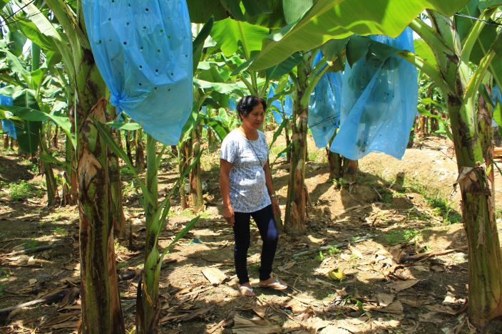 Woman farmer Angela Vicente Woman farmer Angela Vicente walks along the banana farm surrounding the Davao Fruits Banana Growers Agrarian Reform Cooperative's (DFBGARC) office. Angela is an agrarian reform beneficiary and officer at DFBGARC.