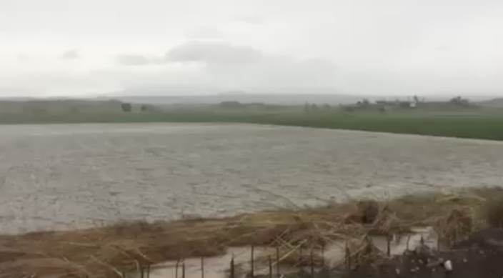 Oxfam Mangkhut Aftermath - Damage to agriculture