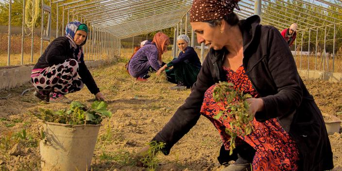 Oxfam in Asia - Tajikistan - Economic Empowerment Oxfam in Asia - Tajikistan - Economic Empowerment