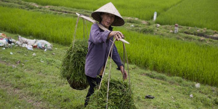 Oxfam in Asia - Campaigns and Policy Influencing - Climate Change and Food Security - GROW