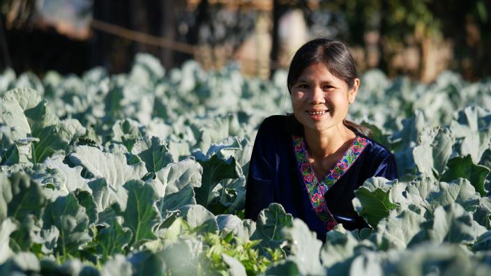 Daw Aye Kyi shows her thriving vegetable garden along Loikaw stream, which connects her village to the Salween River.