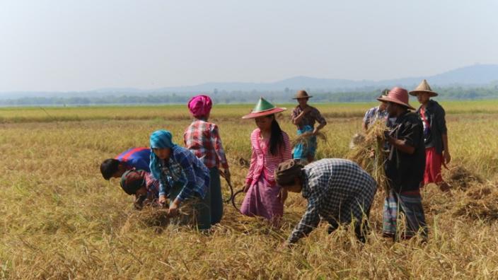 Local people come together to campaign for Daw Lar Lake. Photo: KESAN