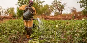 Des femmes soutenues par Oxfam pour la production de culture de contre saison ont vu leurs récoltes pourrir à cause de la COVID19 Des femmes soutenues par Oxfam pour la production de culture de contre saison ont vu leurs récoltes pourrir à cause de la COVID19