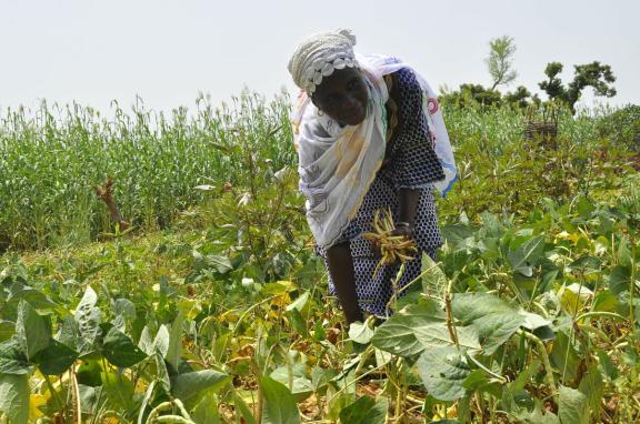 Oxfam au Burkina Faso Résilience