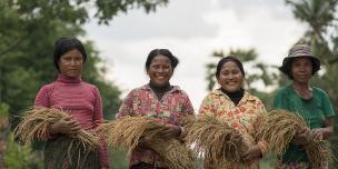 Gender Transformative And Responsible Agribusiness Investment In South East Asia (GRAISEA) Project Gender Transformative And Responsible Agribusiness Investment In South East Asia (GRAISEA) Project