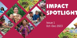 Impact Spotlight issue 1 Impact Spotlight issue 1