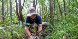 Agroforestry activity by Community Forestry