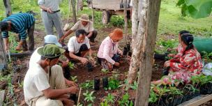 Tree nursery preparation for flooded forest plantation/restoration in Boeung Chres Conservation Area, Ratanakiri province.