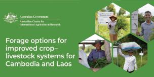 Forage options for improved crop-livestock systems for Cambodia and Laos Forage options for improved crop-livestock systems for Cambodia and Laos