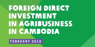 Report on Foreign Direct Investment