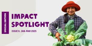 Impact Spotlight issue 6