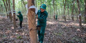 Ms. Kanha Sieng, worker at the rubber farm, Ratanakiri province. Photo: Oxfam