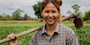Saving for cassava 
